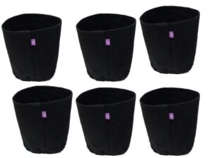 kit  6 vasos de feltro crescimento de raiz saudável