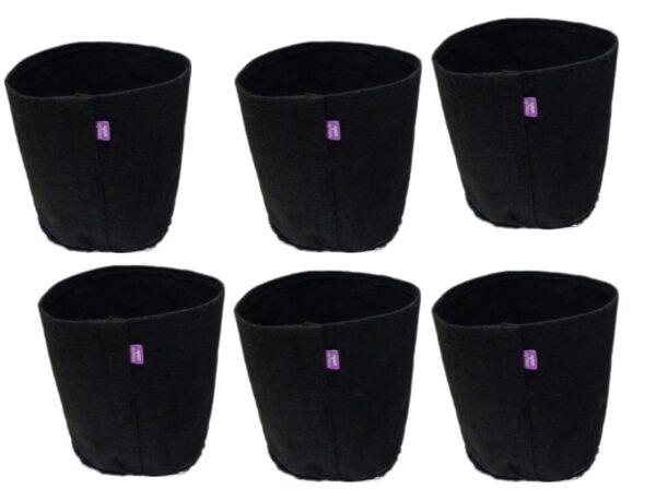 kit  6 vasos de feltro crescimento de raiz saudável