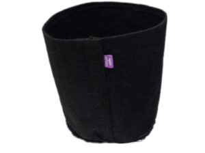 vaso de feltro crescimento de raiz saudável