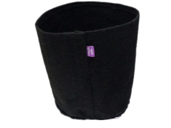 vaso de feltro crescimento de raiz saudável